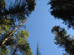 Johnston Canyon, Bow Valley Parkway, AB