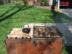 Dyno trip in the Spring