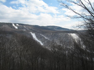 Cupp and Shay's Revenge