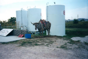 Badlands of South Dakota